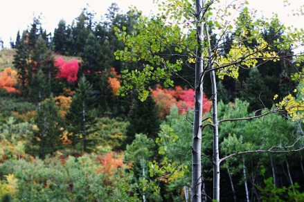 mar 11 - happy Strength