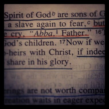 IMG_20130320_134111.jpg image